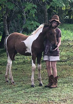 Costa Rica Horse Equine Therapy