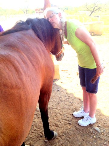 equine therapy costa rica