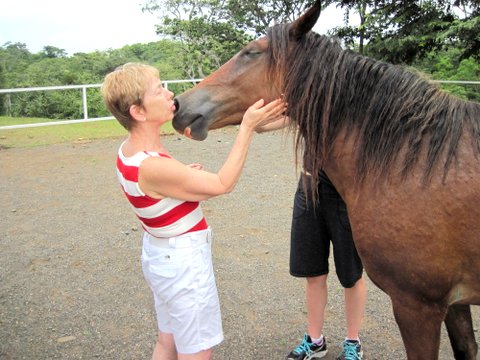 equine therapy