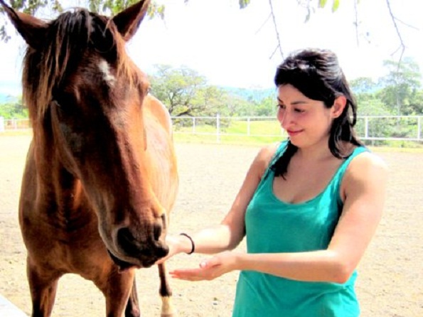equine therapy costa rica