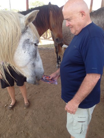 equine therapy costa rica