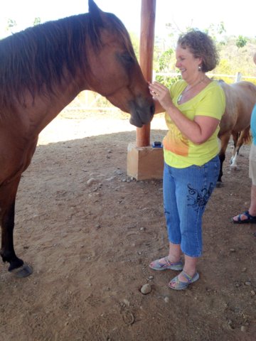 equine therapy costa rica