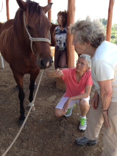 equine therapy costa rica