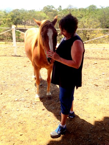 equine therapy costa rica