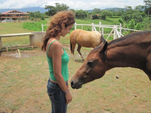 equine therapy costa rica