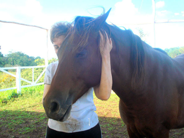 equine autism program