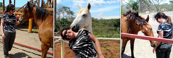 horse therapy costa rica: testimonials