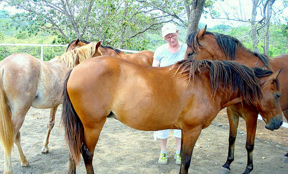 horse therapy costa rica: testimonials