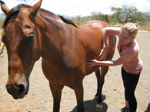 equine therapy cota rica