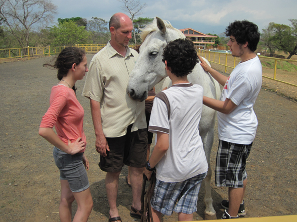 equine therapy