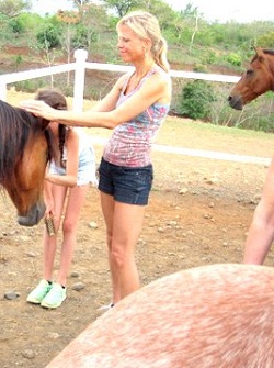 equine costa rica