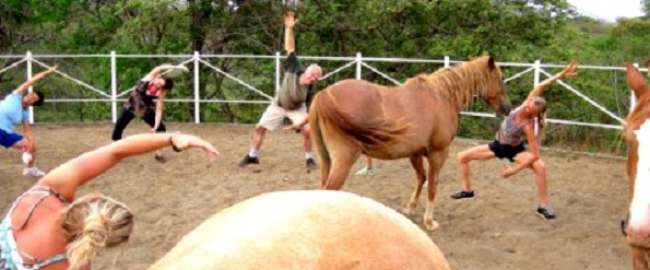 equine therapy costa rica