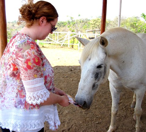 equine therapy costa rica